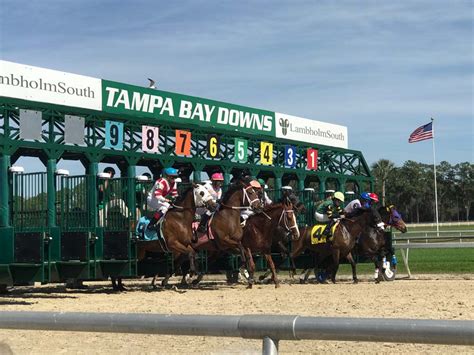 tampa bay downs race track